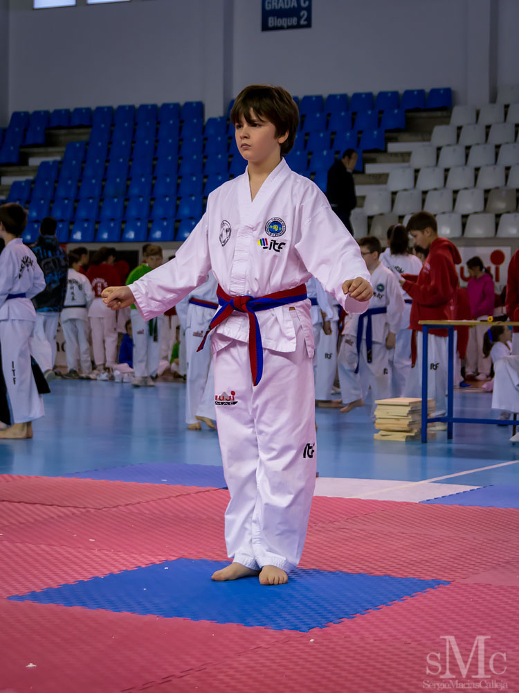 TAEKWONDO CAMPEONATO PAREJAS ABRIL 2018_1878.jpg